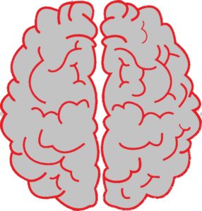 bywbrain